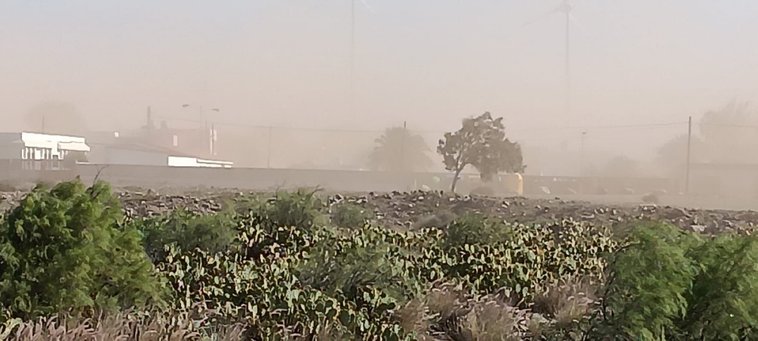 El polvo en suspensión llegó a reducir estos días la visibilidad de forma considerable.