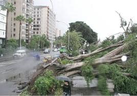 Imagen de archivo de incidencias de la tormenta Delta sobre Canarias en 2005.