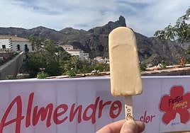 De Valsequillo a Tejeda: crean el primer polo canario de almendra