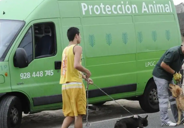 Sancionado con 5.000 euros por mantener a cuatro perros atados, al sol y sin cobijo