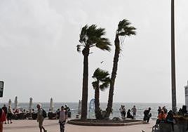 Viento en la capital grancanaria.