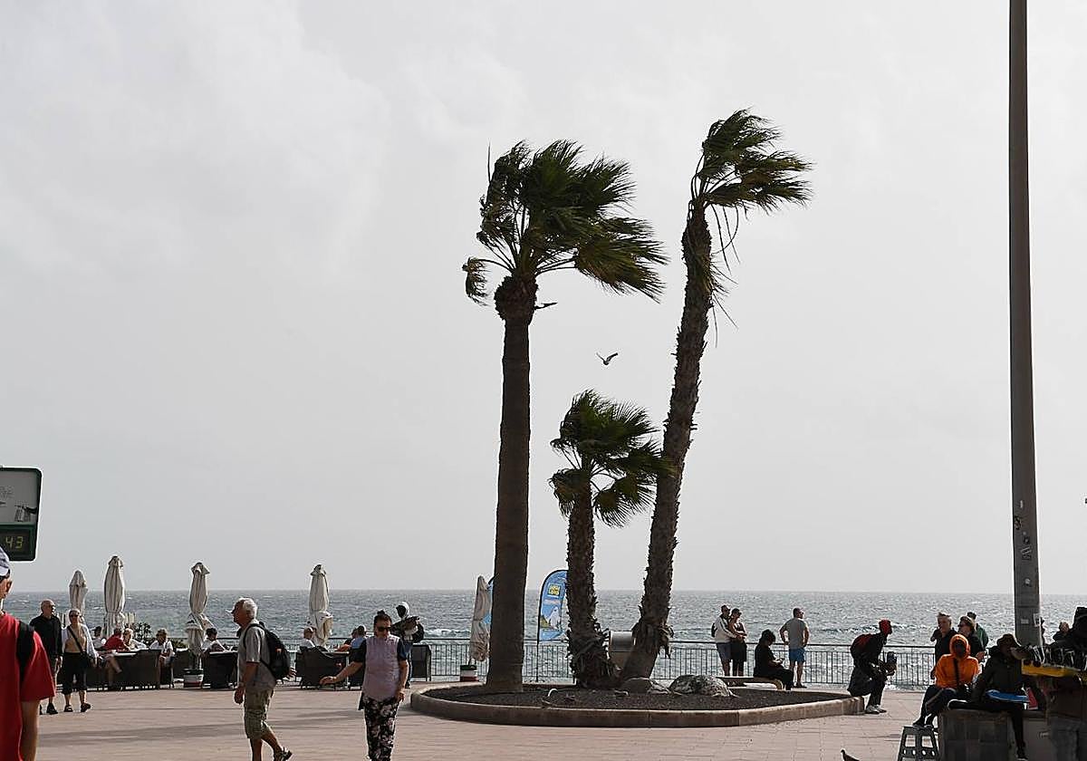 Viento en la capital grancanaria.