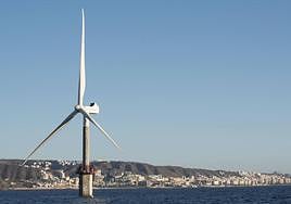 Consenso ecologista sobre eólica marina
