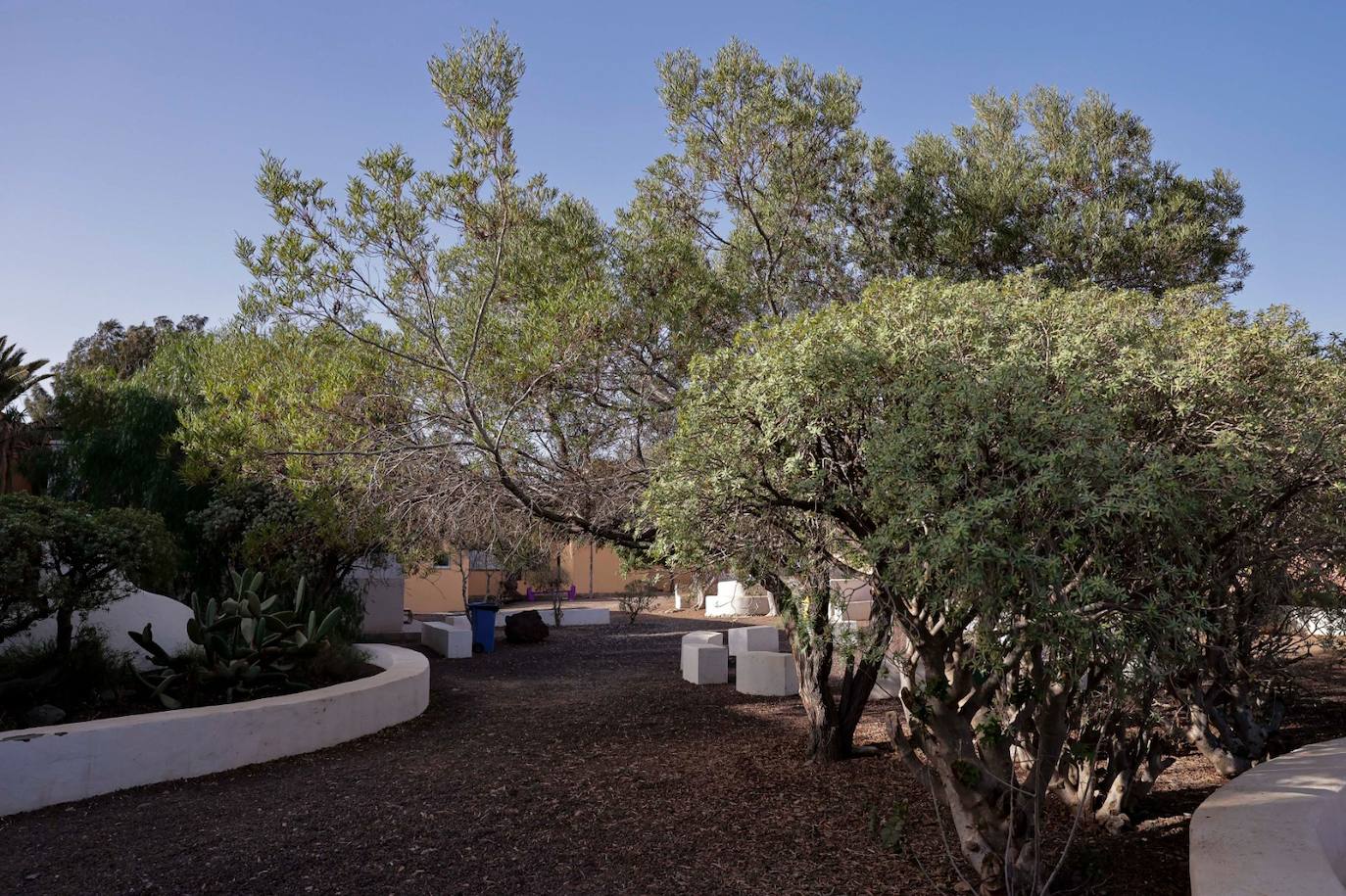 El IES Vecindario cumple 40 años