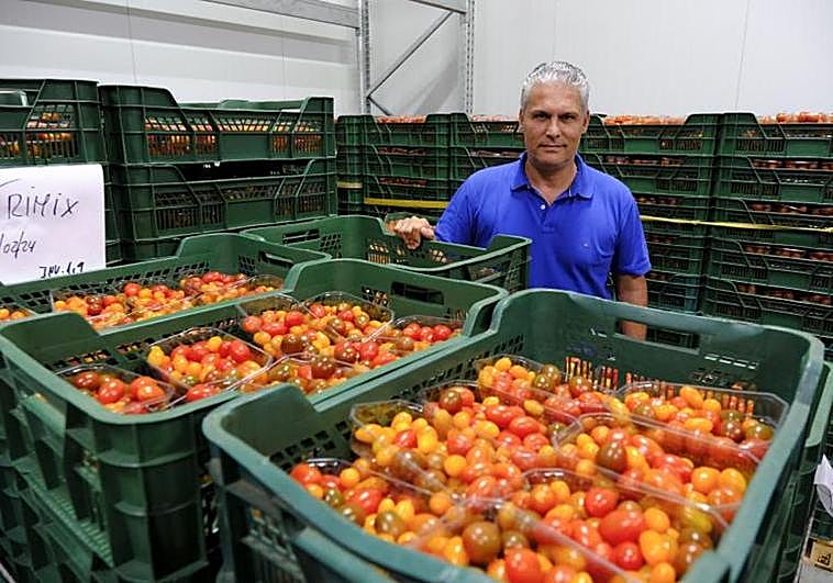 El gerente de Fresh Tom Export Sl, Ismael López.