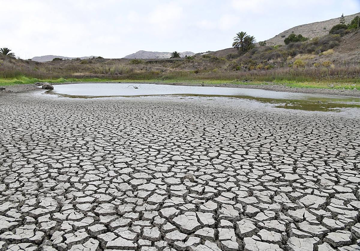 Imagen reciente de cómo se están secando los estanques de arcilla que forman las Charcas de San Lorenzo.