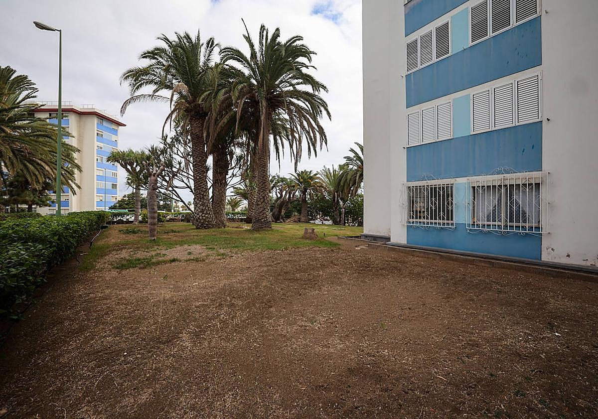 Imagen principal - Los vecinos afirman que se han estropeado muchas especies y ahora costean un agua que dicen se garantizó, a cambio de unos terrenos que estaban en la parcela de la urbanización.