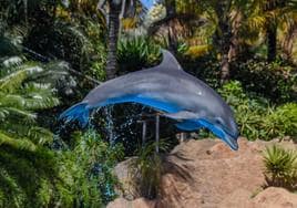 Delfín en Loro Parque.