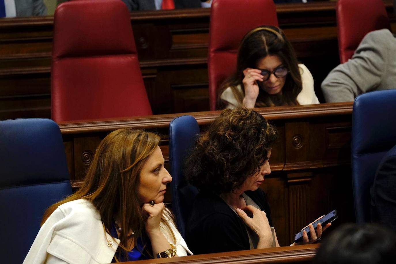 El debate del estado de la nacionalidad canaria, en imágenes