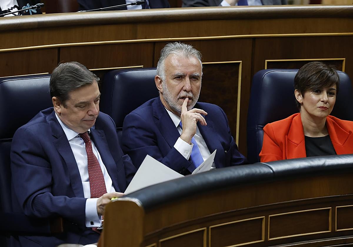 Torres, este miércoles en el Congreso, junto a los ministros Luis Planas e Isabel Rodríguez.