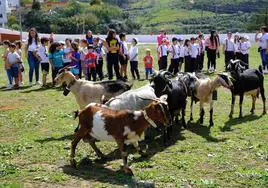 Imagen de la jornada rural en Caideros de Gáldar.