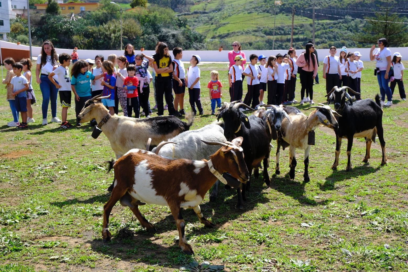 Más de 300 estudiantes conocen la vida rural