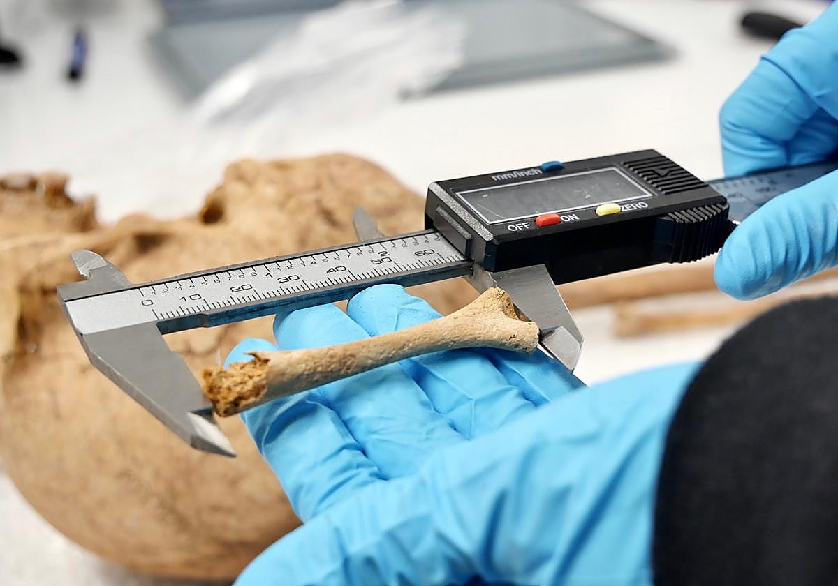 Análisis de material hallado en San Marcial del Rubicón.