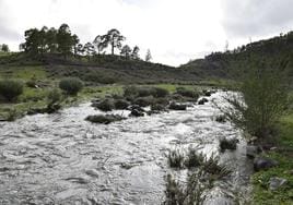 Combatir la emergencia hídrica en Canarias