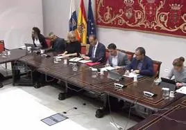 El Colegio de Fisioterapeutas de Canarias defiende ante el Parlamento su posición frente a la «receta deportiva»