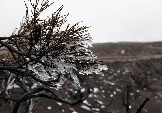 La Dana que afecta a Canarias ha provocado la primera nevada en el Teide después de todo un invierno sin nevar, circunstancia que se daba por primera vez en 108 años.