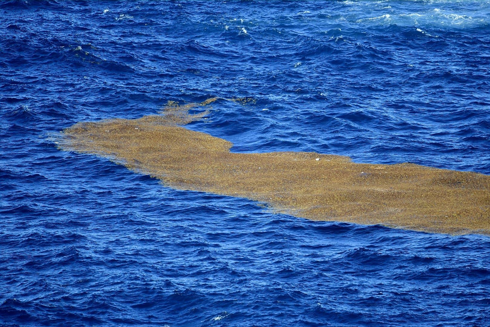 Las olas ofrecen un espectáculo en El Puertillo