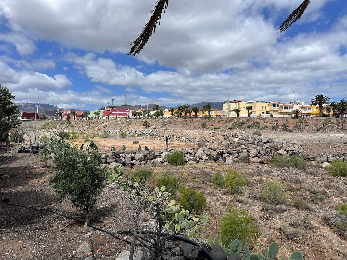 Imagen de las labores de limpieza en los barrancos del sureste de Gran Canaria.