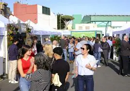 Imagen de la Feria Empresarial que se celebra en el recinto La Quinta de Gáldar.