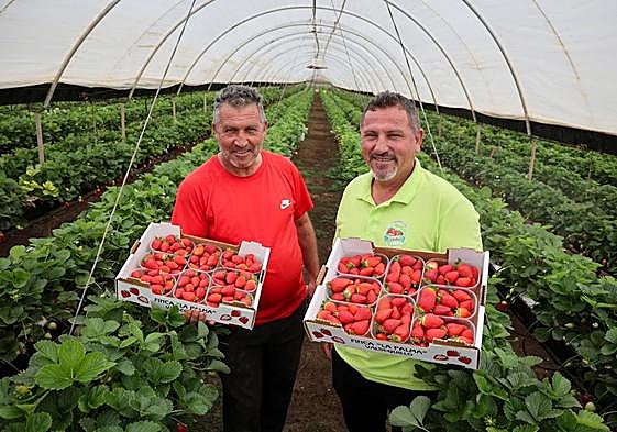 José Antonio y Juan Miguel Gil, propietarios de Finca La Palma, están orgullosos de su producto.