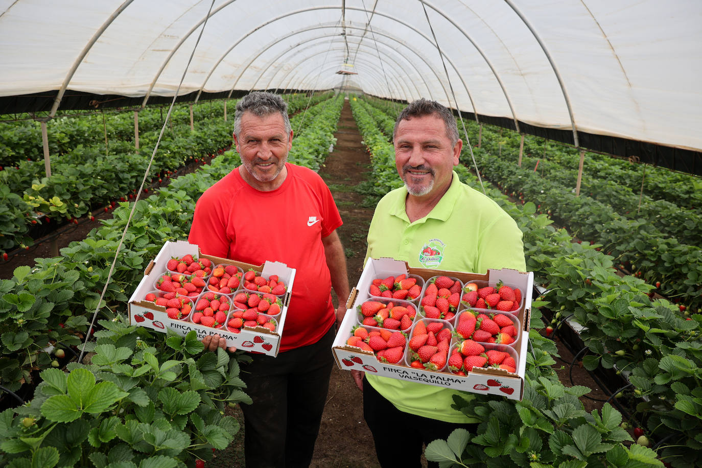 José Antonio y Juan Miguel Gil, propietarios de Finca La Palma, están orgullosos de su producto.