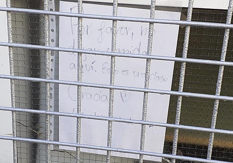 Cartel de alumnos del Agustín Espinosa, por los gatos callejeros.