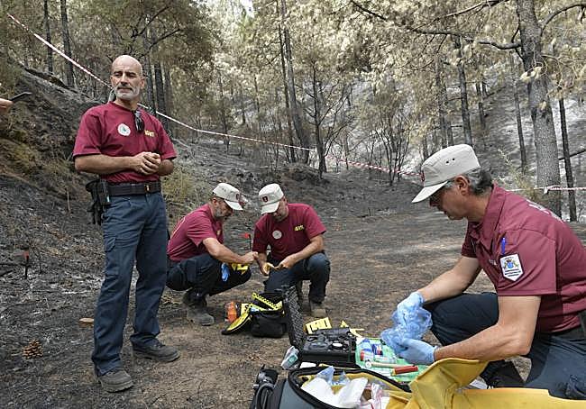 Imagen de archivo de agentes de la BIIF.