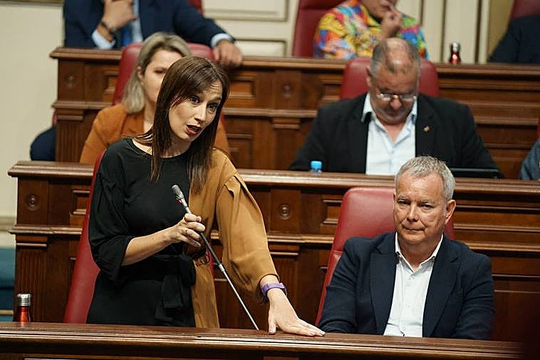 La diputada del grupo Socialista Nira Fierro formula una pregunta a Manuel Domínguez en el pleno del Parlamento de Canarias.