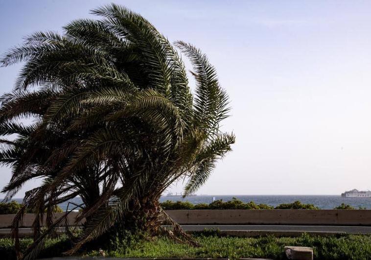 Viento y calor en Gran Canaria.