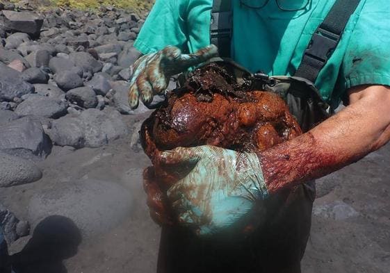 Imagen de la piedra de ámbar gris de 9,5 kilos de peso, valorada en más de medio millón de euros.