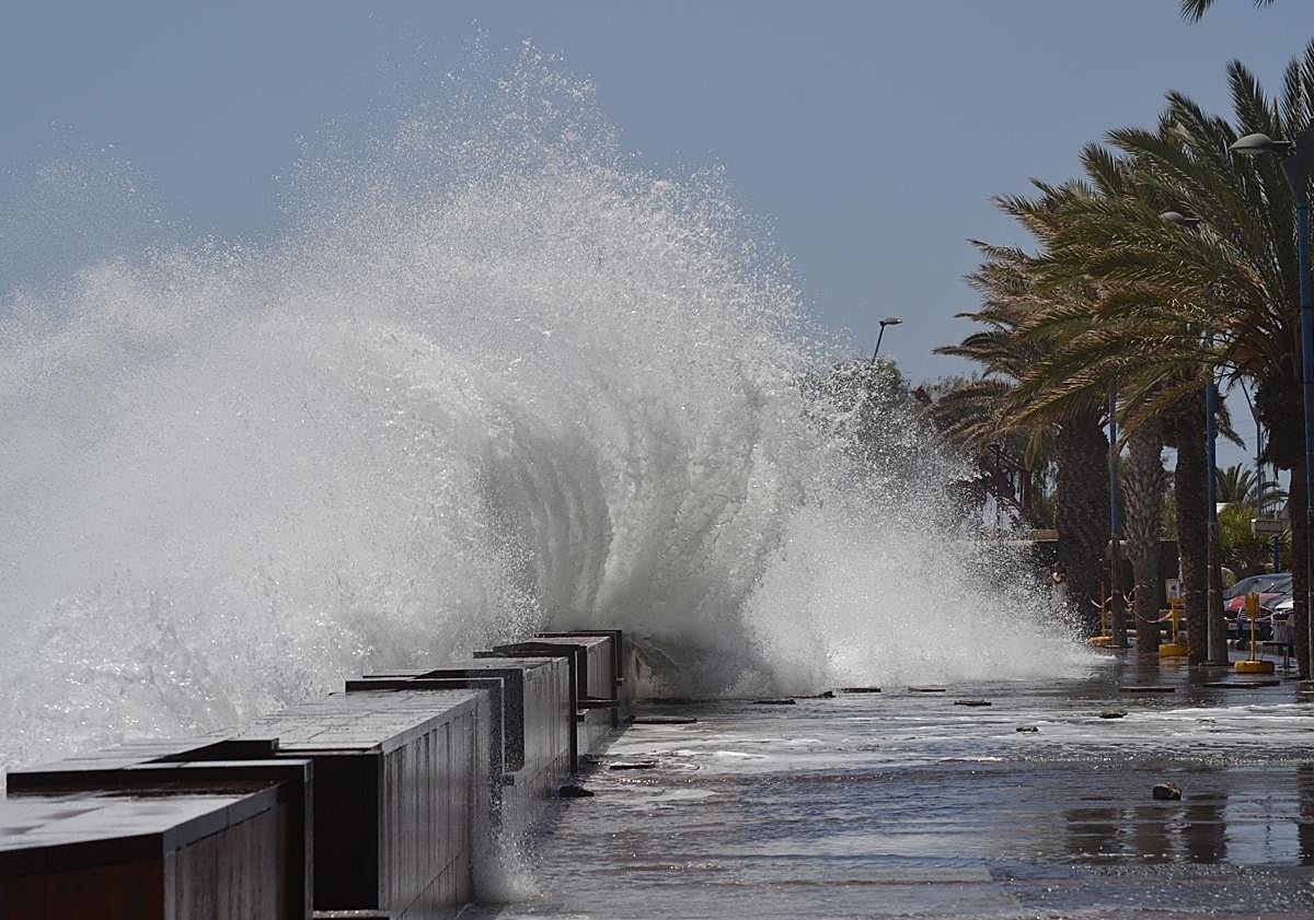 Imagen principal - ¿Qué hace un cangrejo en la avenida de Gran Tarajal?