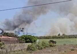 Controlado un conato de incendio en Guamasa originado por una barbacoa