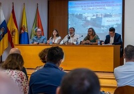 El Gobierno local presentó este martes el nuevo Plan Director de la Zona Peatonal que mejorará la oferta comercial de la Avenida de Canarias.