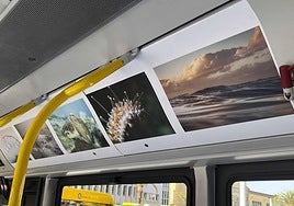 Viaje en guagua al mundo submarino de Las Canteras