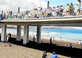 La manifestación del sábado discurrió inicialmente por el paseo de Las Canteras.
