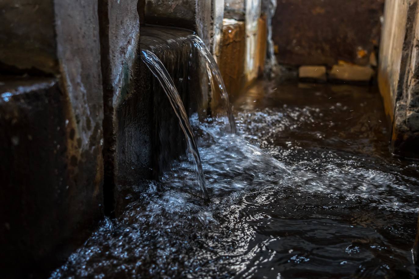 Imagen principal - Reconocen la labor social, cultural e histórica de la Heredad Acequia Alta de Sardina del Sur