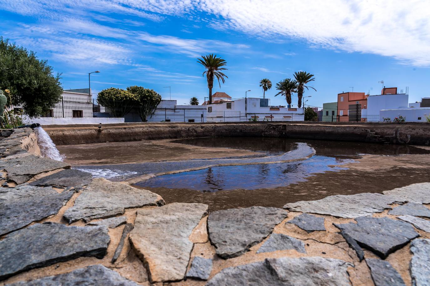 Imagen secundaria 1 - Reconocen la labor social, cultural e histórica de la Heredad Acequia Alta de Sardina del Sur