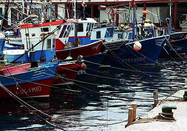 Barcos de pesca artesanal atracados en el puerto de Mogán.