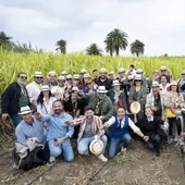 Los participantes en el congreso Terrae visitaron la plantación de caña de azúcar de ron Arehucas.