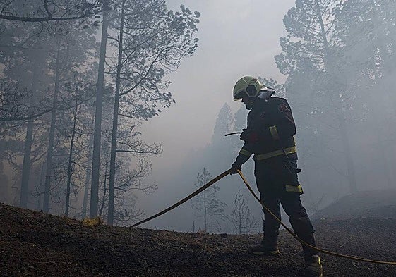 El valor de la prevención en la lucha contra los incendios forestales