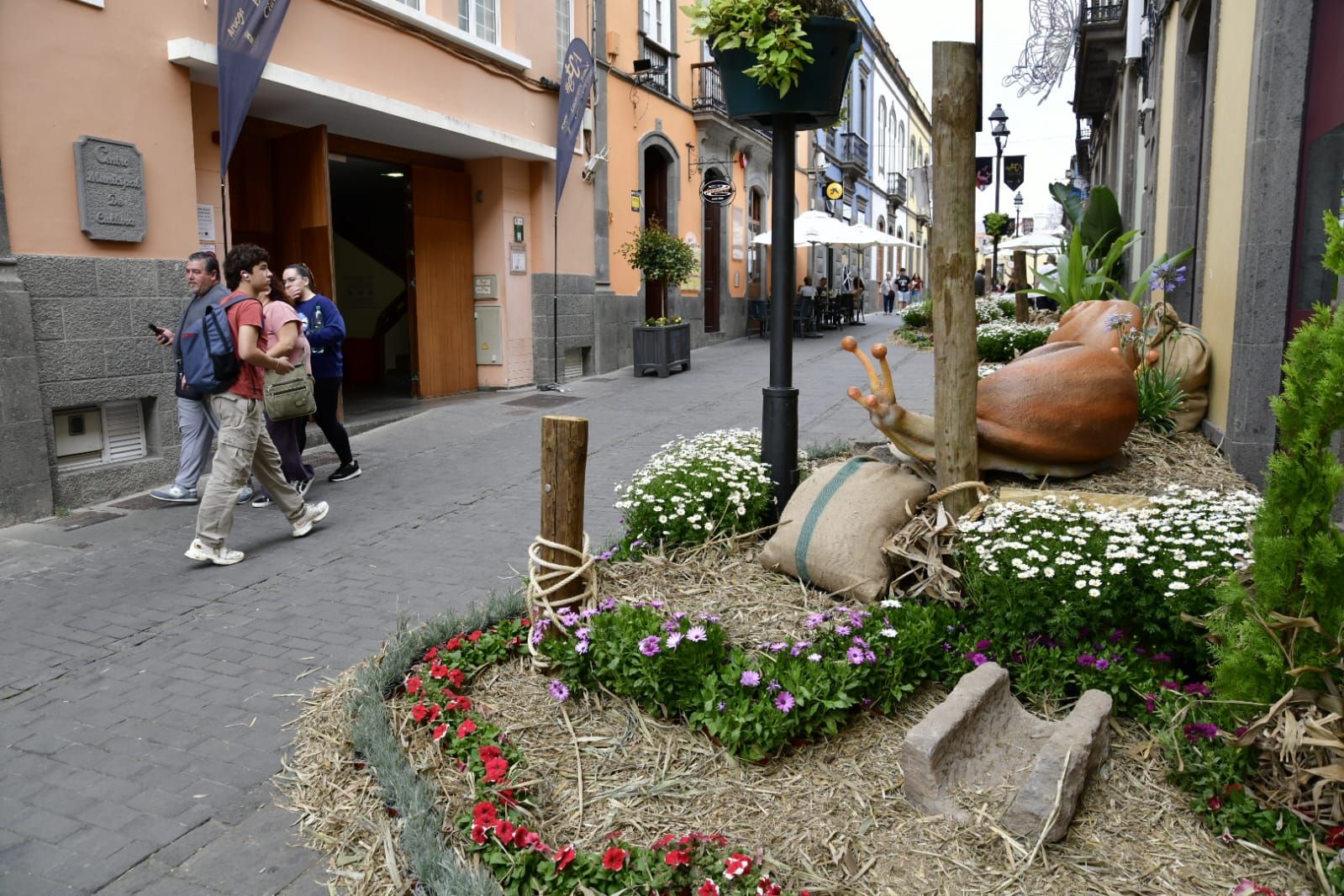 Arucas ya presume de piedra y flor