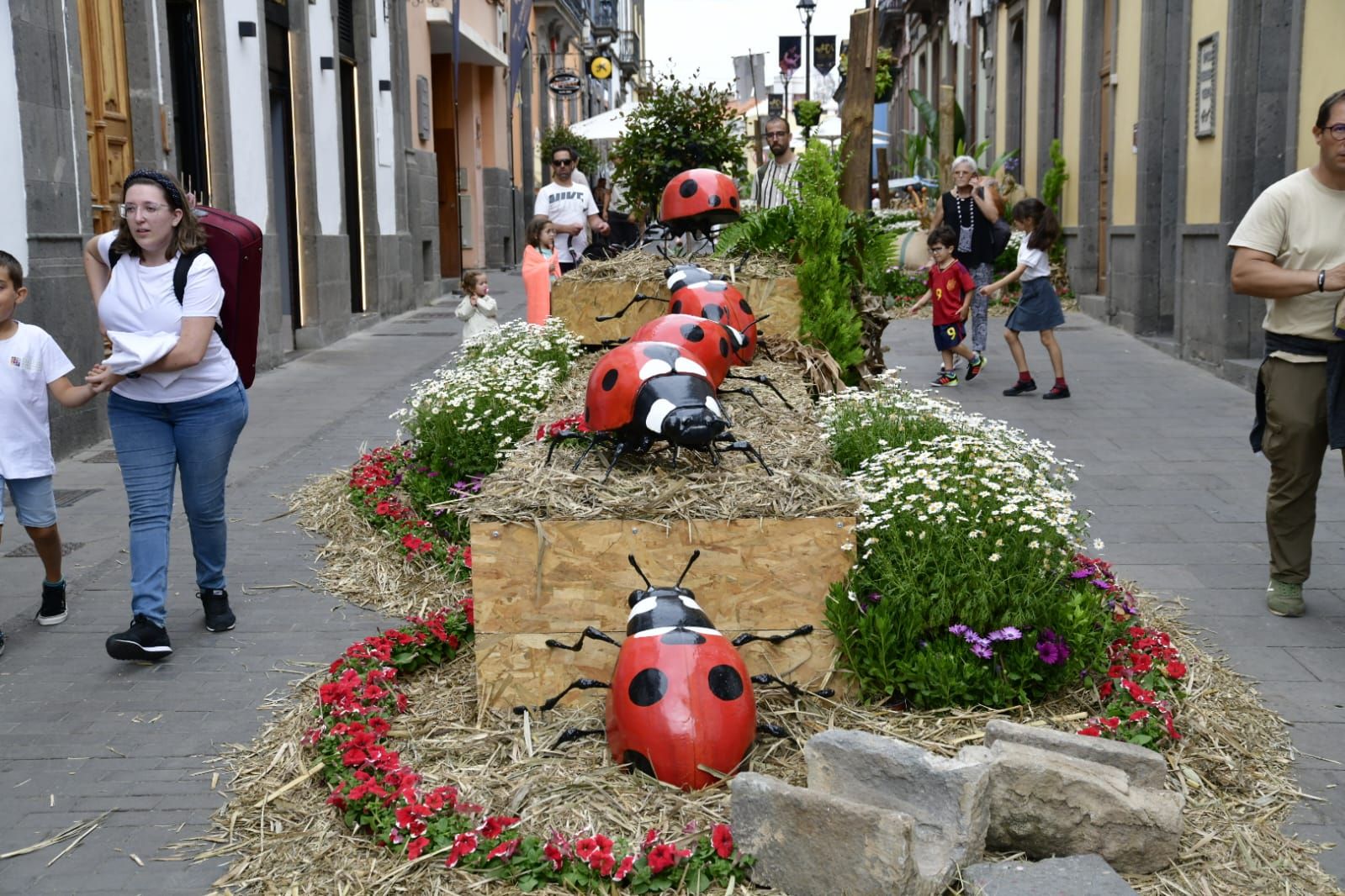 Arucas ya presume de piedra y flor