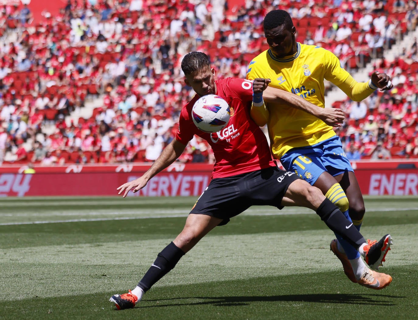 El Mallorca-Las Palmas, en imágenes