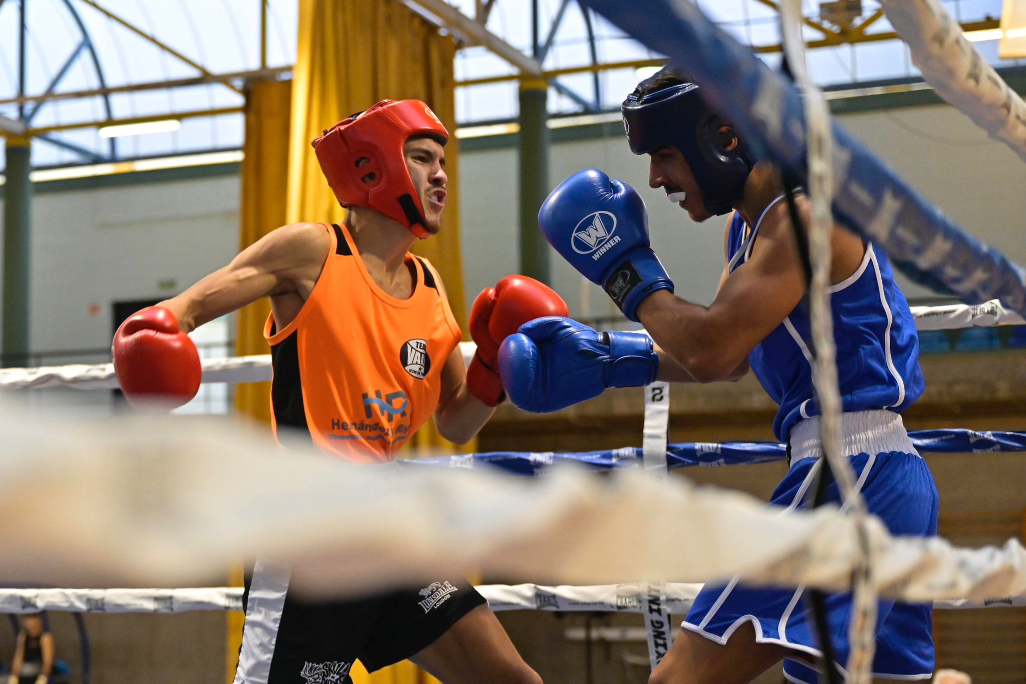 Espectáculo con la velada Las Palmas International Boxing Night