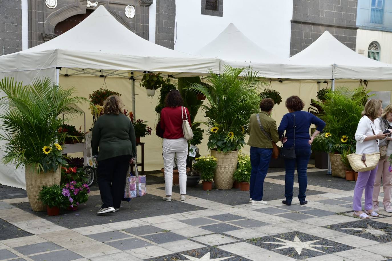 Las flores llenan la Plaza de Santo Domingo