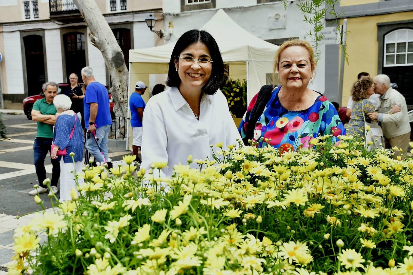 Las flores llenan la Plaza de Santo Domingo
