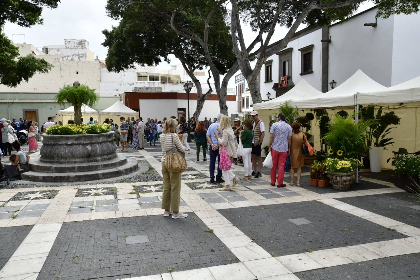 Las flores llenan la Plaza de Santo Domingo