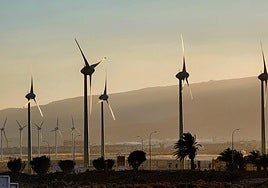 Imagen de este domingo en Gran Canaria.