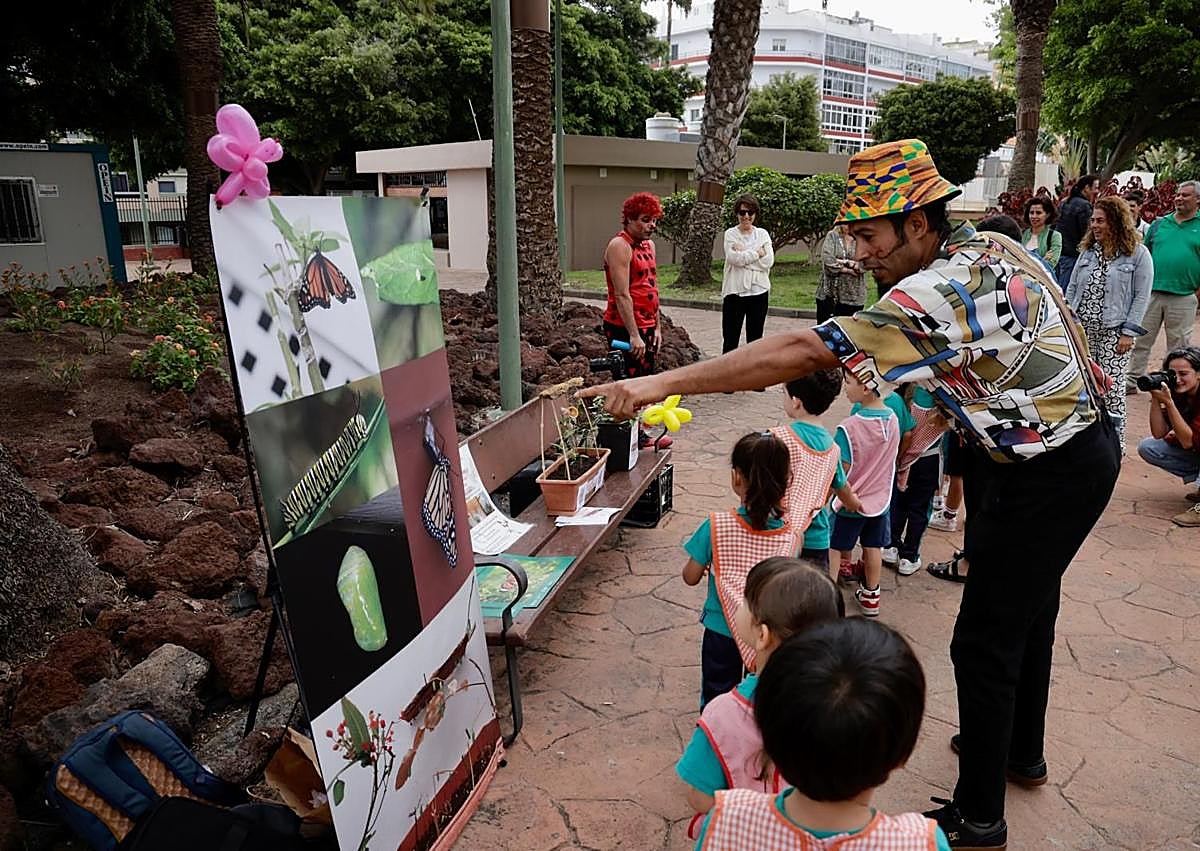 Imagen secundaria 1 - Monarcas en la ciudad de las mariposas