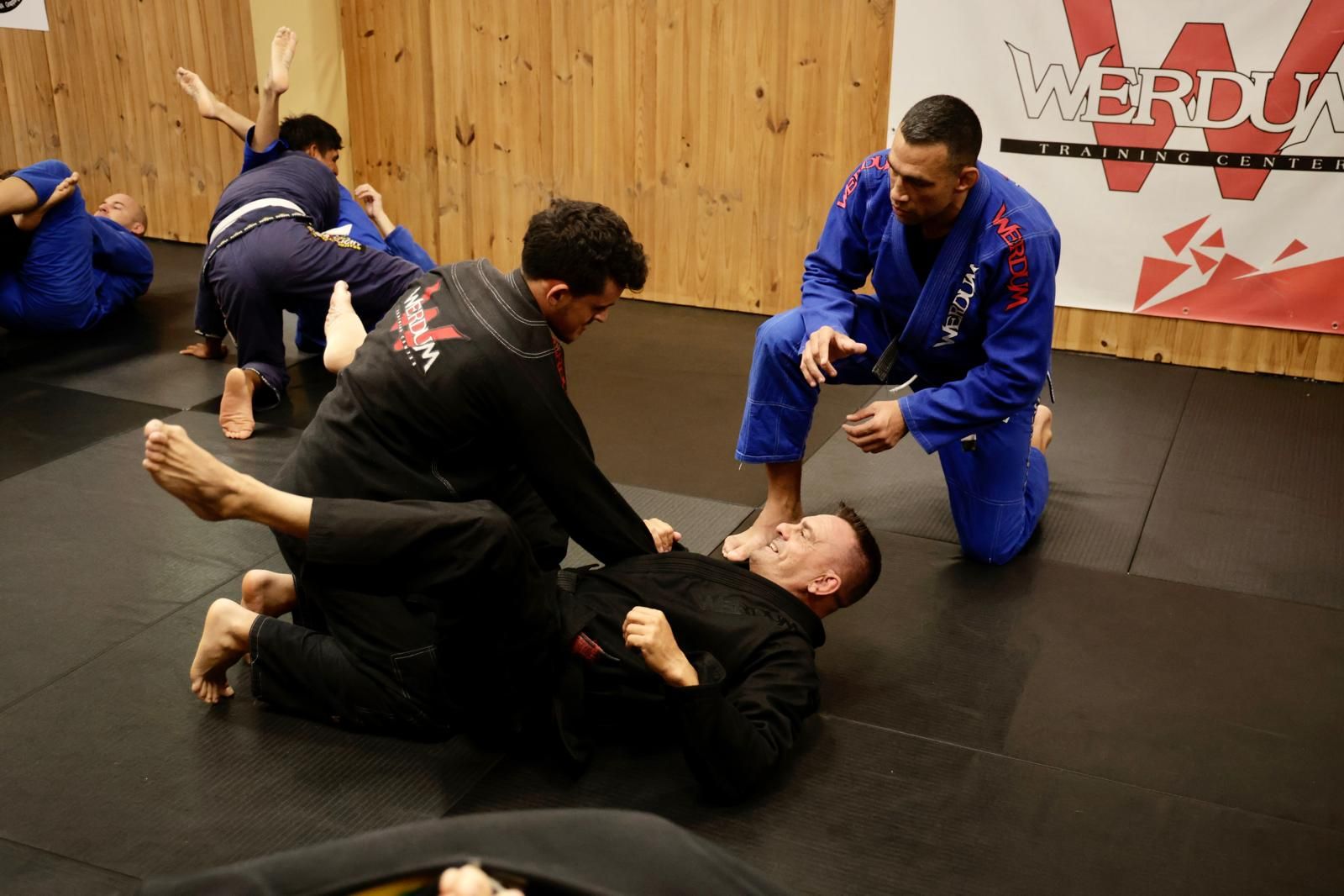 Clases magistrales de Fabricio Werdum en Gran Canaria